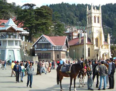 Shimla